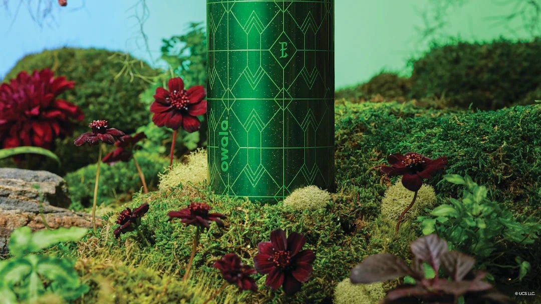 Wicked For Good Tumbler